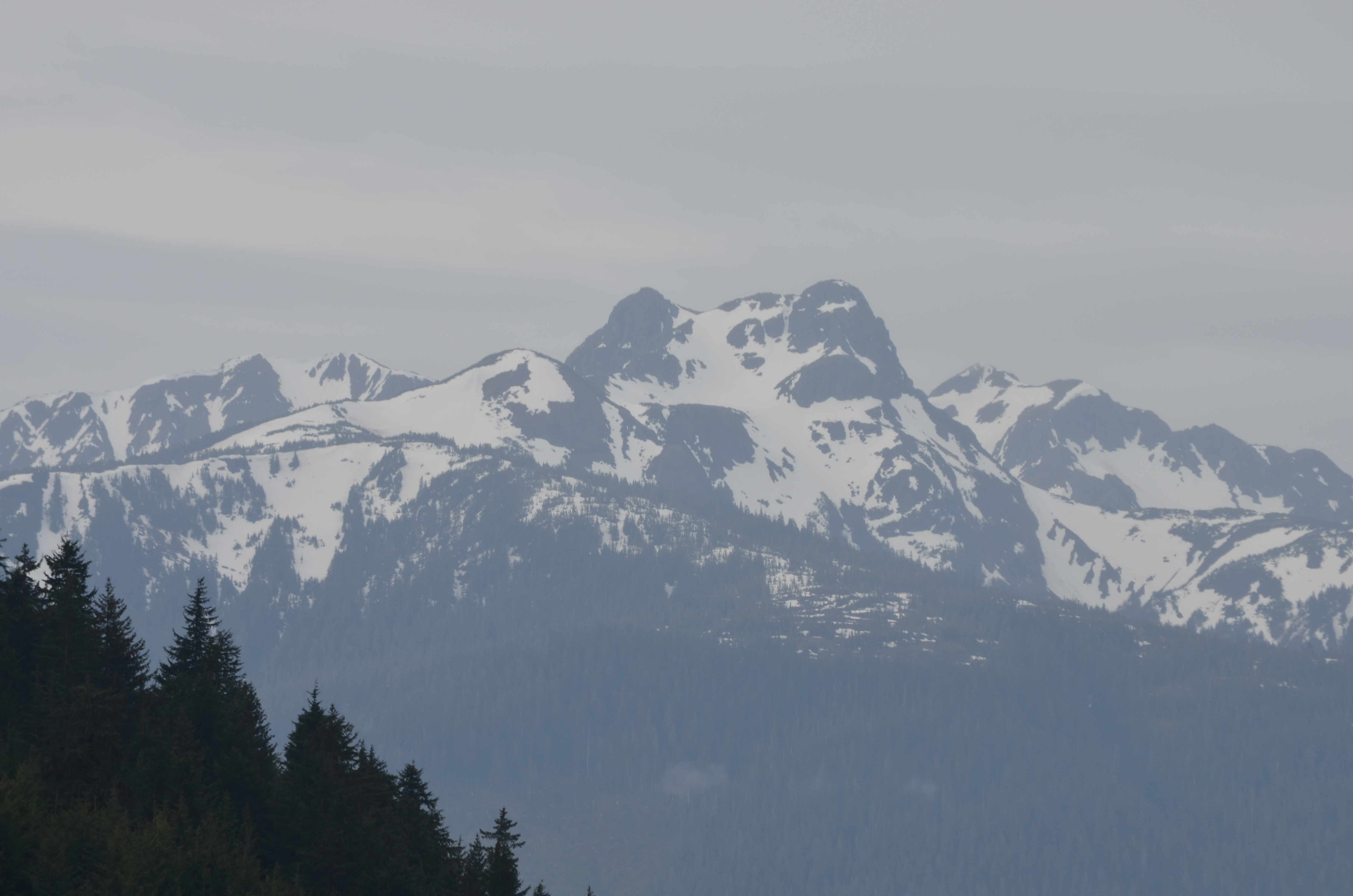 ./2017/08 - Alaska Cruise/10 - Icy Strait Point/DSC_0172.JPG